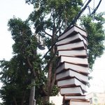 <b>부산</b>에 여행오시면 가볼곳!!