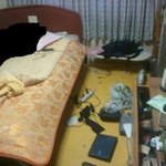 웰시코기?아놔... 어떻하자는건지..