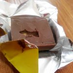 미니쉘 <b>거미줄</b>, 벌레 배설물 흔적