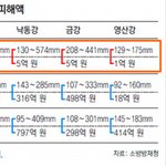 死<b>대강</b>의 실체..