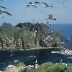 수정)★반일본초등학생의<b>독도</b>에대한생각★