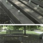 레알 <b>자본</b>주의