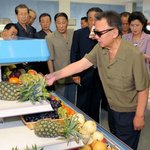 ■■사진有)☆★스타일을 파헤쳐보자 제 1탄 (김 <b>정일</b>)☆★■■