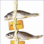 굴비카드 개념 총 정리!  이것만 참고하시면 됩니다.