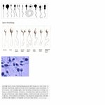 우리가 몰랐던 사실.....요즘은 이런것도 가능하군요