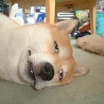 남친이 <b>사준</b> 천원짜리 쪼리의 최후