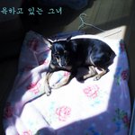 이 시대 최고의 미녀, 그녀를 소 "개"합니다*_*