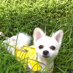 아아, 열받아서 이렇게 글을 올립니다.