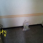 ★★★★★ 옆집아줌마<b>쓰레</b>기투적..사진올림★★★★★