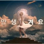정말친한 선배에게 선물을 하려고 하는데 머가 좋을까요?