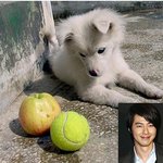결국 <b>조인성</b> 공개사과