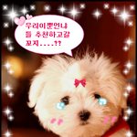 154에 이뿐 몸무게ㅠㅠ 언냐들 도와줭 ㅠㅅㅠ