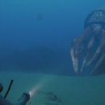 지구 역사상 가장 위험했던 바다동물들 <b>best</b> 7