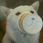 현재 <b>투표율</b> 22.1% &amp; 시간별 <b>투표율</b>