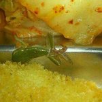 ★☆수정☆★사진有 우리학교 급식의 실태