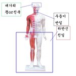 전라<b>디언</b>들의 특징 ㅋㅋㅋ