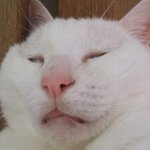 고3 여고생입니다.