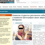 ◆33탄 유기견 <b>해부</b>과정을 인터넷에 올린 여대생◆