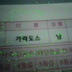 갸라도스 ! 진화해 시<b>발아</b>~