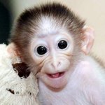 [한국인 <b>필수</b> 톡]우끼 우끼끼
