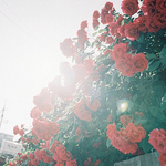 ☞ 2살연하 훈훈한 과외학생과 ♥_♥ (3)