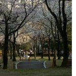 졸려요....ㅜ.ㅠ