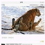 <b>호떡</b>