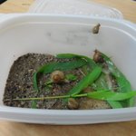 사진有 우리는 고녀시대!2탄