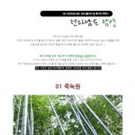 전라남도 <b>담양</b>출사! 삼성카메라 nx100 와 함께~