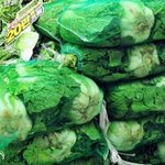 이삭토스트..........(사진有)