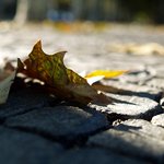 이미 헤어진 사람들이 무수히 말했었지.. 아픔..잠시뿐이라고