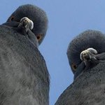 <b>최예린</b>나본다님 팬클럽 2번! 일산흔녀입니다!