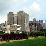 ★ 24살, 나홀로 시카고 final - 기대하셔요!