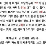 <b>인체</b>의 신비....