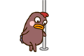 @@@@@@@내 친구 '<b>희귀종</b>'을 소개합니다!! :)