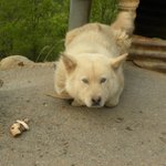 경성고 <b>수련</b>회사진