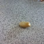 <b>ktx</b>에서 불타올랏던 장인정신