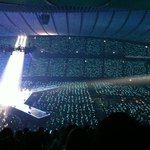 샤월이 왜 까여? 이렇게 착한데?