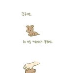반려<b>견</b>, 제발 함부로 키우지 말아주세요..