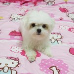 ●●●●●정말 <b>간절</b>해요 한번만 읽어주세요 ●●●●●