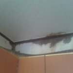 저희집에서 물이<b>새서</b> 곰팡이가 잔뜩이에요ㅡㅡ