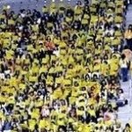 ★★<b>깃발</b> 왜 사용 하시는지 궁금해요★★