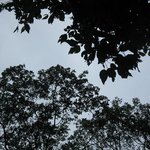 ★제주3박4일★ 26女 스쿠터 여행기 [3탄]