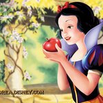 <b>백설</b>공주 vs 신데렐라