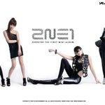 ☆★☆★☆★<b>2ne1</b>= 여자vs남자☆★☆★☆★
