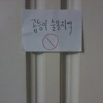 ★★급함)톡커님들 곱등이 이거 어떻게함...????!ㅠㅠㅠㅠ(사진有...