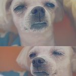 <b>쑥맥</b> 탈출 방법 좀 알려주세요ㅠㅠ