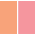 당신은 따뜻한 색의 분위기 입니까 차가운색의 <b>분위</b>그를 가지셨습니까?