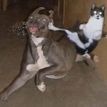 ☆★ 야 궁<b>그매</b> 니가나랑 놀짬빱이야?★☆