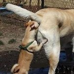 <b>대장</b>내시경을 공개적으로 하네요 개망신이네요정말